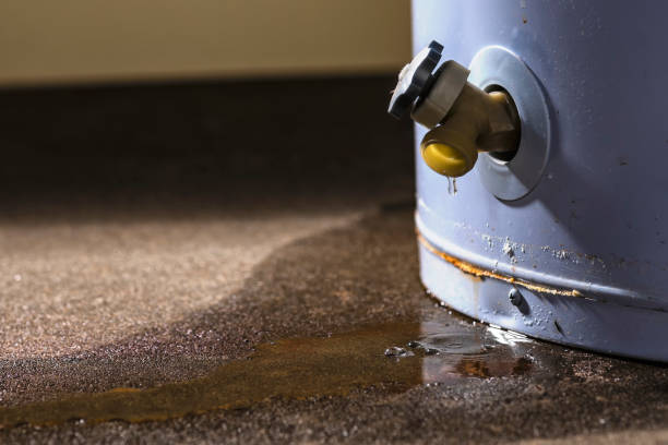 Best Water damage restoration near me  in Oceanside, CA