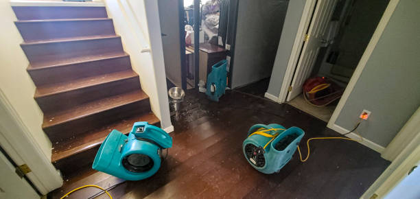 Best Residential water damage restoration  in Oceanside, CA