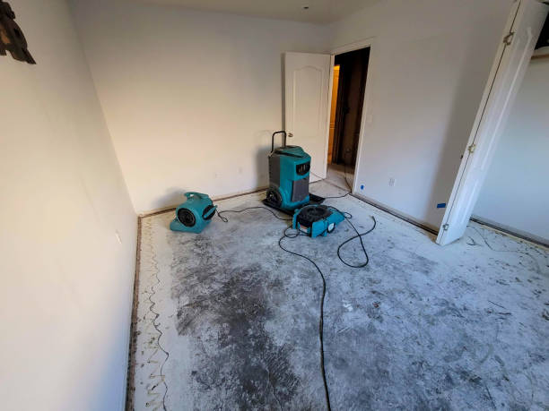 Best Ceiling water damage repair  in Oceanside, CA