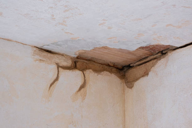 Best Water damage cleanup near me  in Oceanside, CA