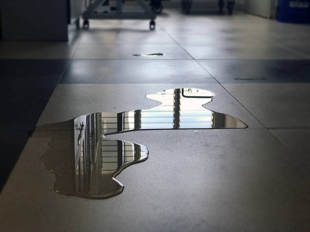 Best Water damage cleanup near me  in Oceanside, CA