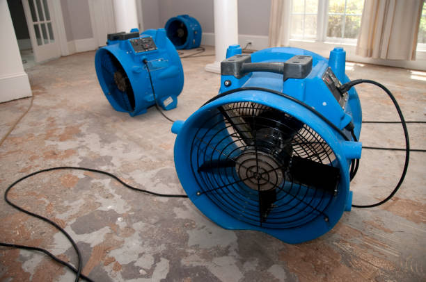 Best Flood damage cleanup  in Oceanside, CA