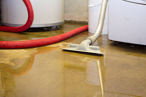 Best Water damage restoration mold remediation  in Oceanside, CA