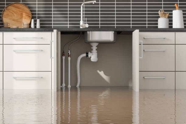 Best Local water damage restoration  in Oceanside, CA