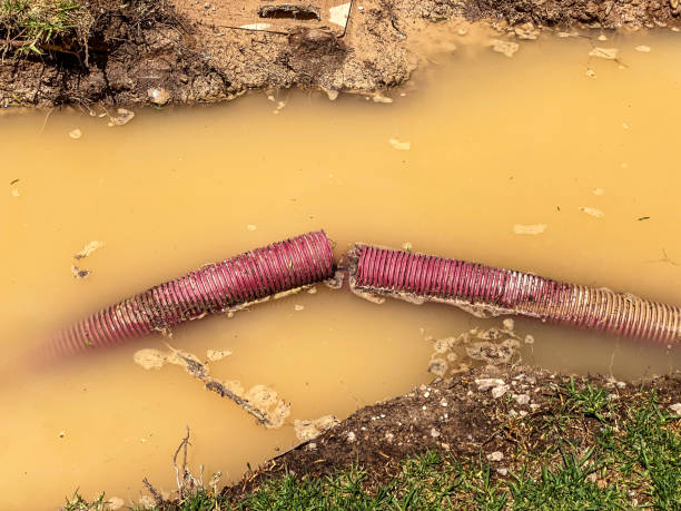 Oceanside, CA Water damage restoration Pros